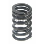 Engine Valve Spring