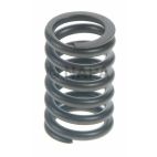 Engine Valve Spring