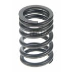 Engine Valve Spring