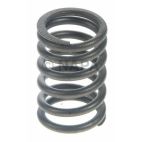 Engine Valve Spring