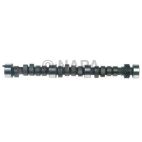 Engine Camshaft