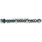 Engine Camshaft