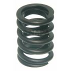 Engine Valve Spring