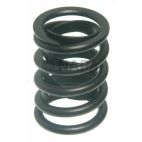 Engine Valve Spring
