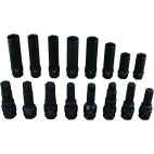16 Piece Master Wheel lock Set
