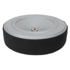 Air Filter w/ Pre-filter