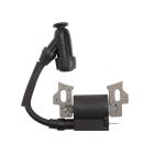 Ignition Module