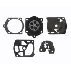 Diaphragm & Gasket Kit