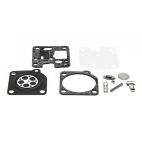 Carburetor Repair Kit
