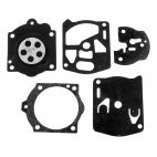 Carburetor Kit, For Model D1-WS