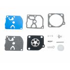 Carburetor Kit, Fits Model C1Q