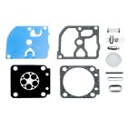 Carburetor Kit, Fits Model C1Q