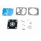 Carburetor Kit, Fits Model C1Q