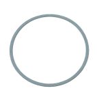 Carburetor Gasket, 2 per package