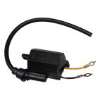 Ignition Module