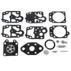 Diaphragm & Gasket Kit