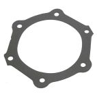 Gasket, Water Pump (Pkg of 2)