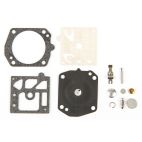 Carburetor Repair Kit