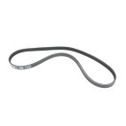 Serpentine Belt, Mercury