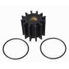 Impeller Kit, Gas GM Engines 2005 and Up