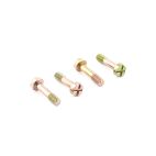 Screw Kit, Thunderbolt Distributor Caps