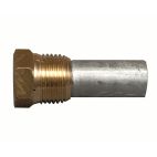 Anode