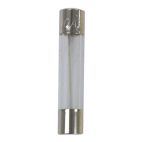 Fuse AGC 10AMP