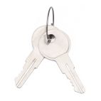 2 Keys on a ring