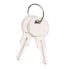 Keys - 2 On a Ring Counted as 1