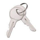 Keys - 2 On a Ring Counted as 1