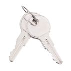 Keys - 2 On a Ring Counted as 1