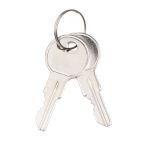 Keys - 2 On a Ring Counted as 1