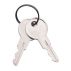 Keys - 2 On a Ring Counted as 1