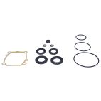 Lower Unit Oil Seal Kit, Suzuki
