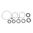 Lower Unit Oil Seal Kit, Suzuki