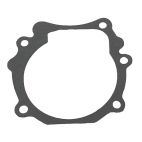 Gasket, Water Passage (Pkg of 2)