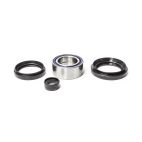 Wheel Bearing & Seal Kit