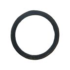 Thermostat Seal,GM V6 & V8