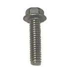Stainless Steel Bolt, 1/4"x 20 x 1 1/32"