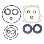 Lower Unit Oil Seal Kit, Suzuki