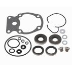 Lower Unit Oil Seal Kit