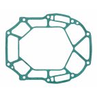 Exhaust Manifold Gasket