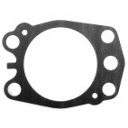 Water Pump Gasket