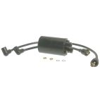 Ignition Coil w/ Leads