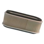 Air Filter, Oval 2-1/2"H
