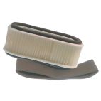 Air Filter w/ Pre-filter