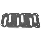 Reed Plate Gasket, Mercury