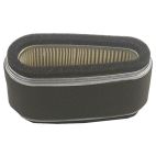 Air Filter w/ Pre-filter