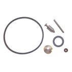 Carburetor Repair Kit