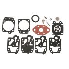 Carburetor Repair Kit
